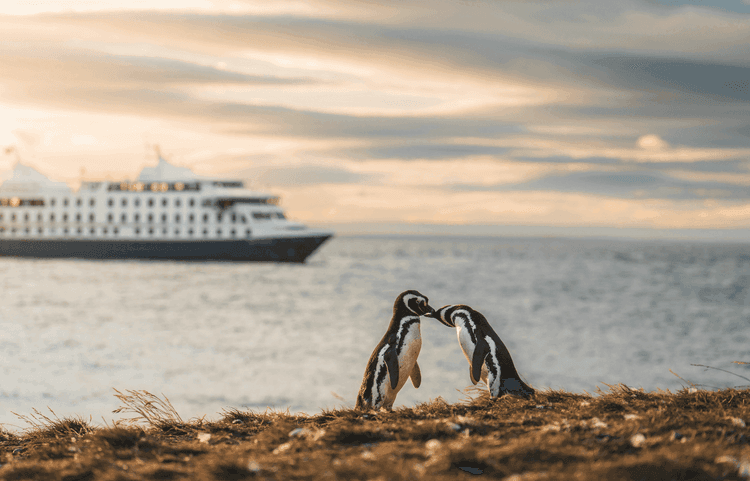 Croisière Australis